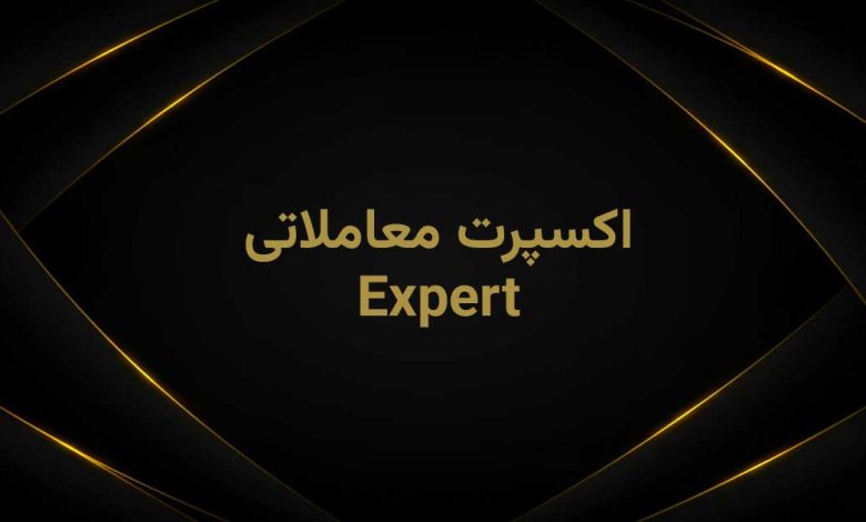 اکسپرت چیست